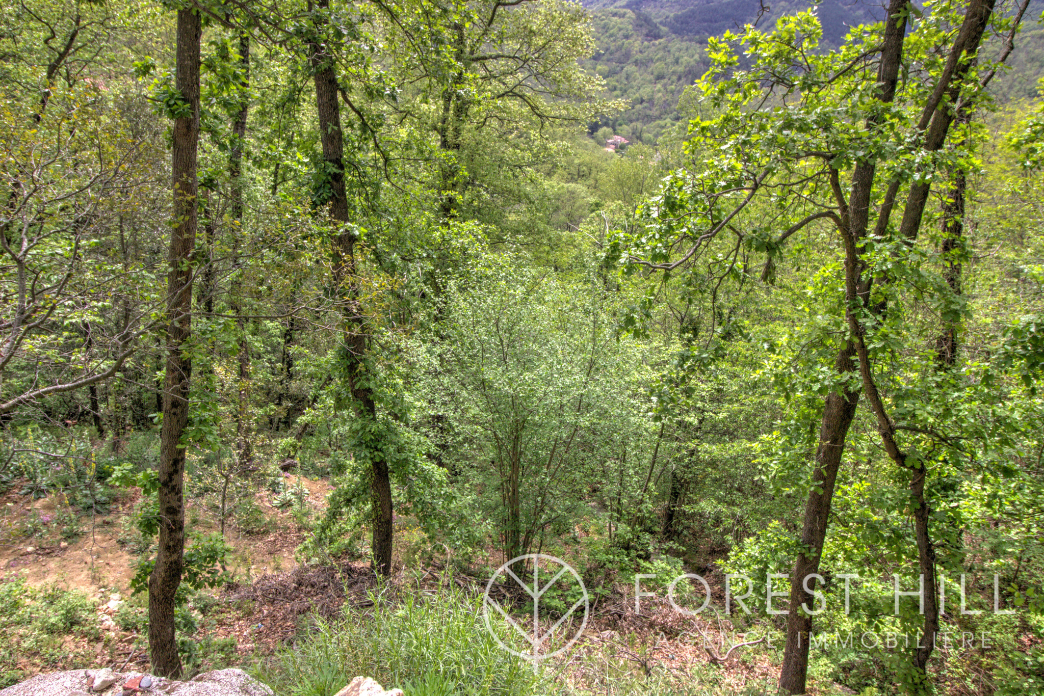 Terrain 49 000 &euro;  sur Maureillas-Las-Illas (66480) - Réf. 511