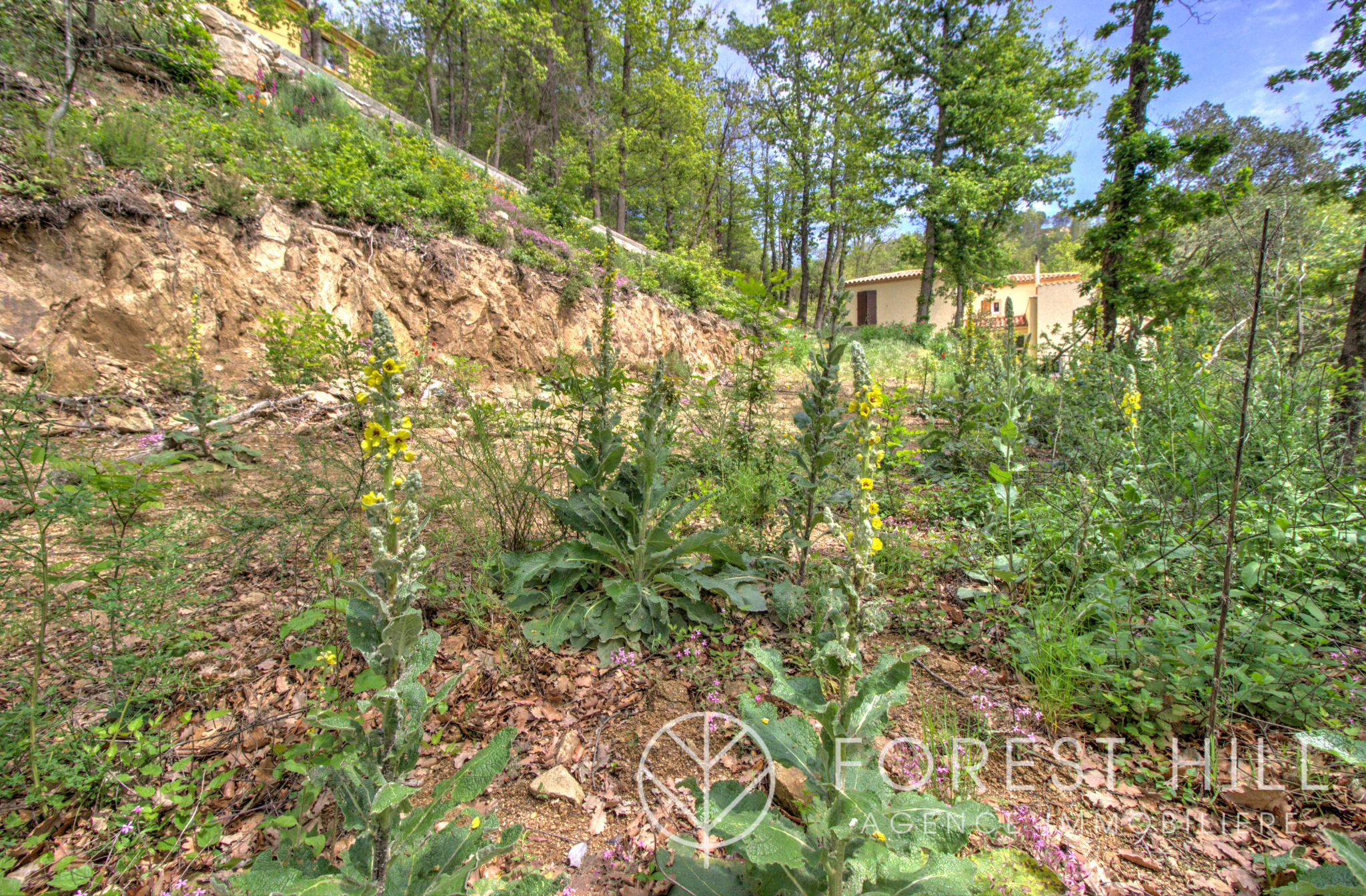 Terrain 49 000 &euro;  sur Maureillas-Las-Illas (66480) - Réf. 511